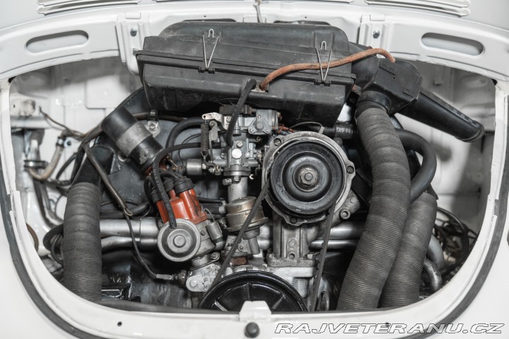 Volkswagen Brouk 1973