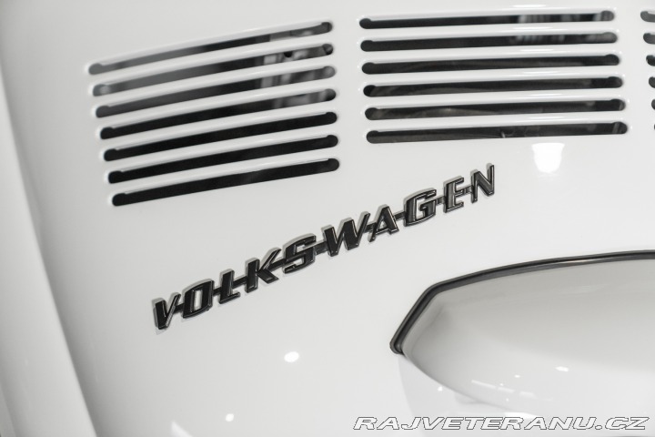 Volkswagen Brouk  1973