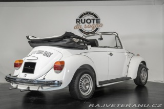 Volkswagen Brouk  1973