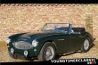 Austin Healey  1963