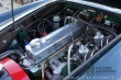 Austin Healey