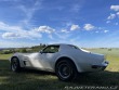 Chevrolet Corvette C3 Stingray Targa