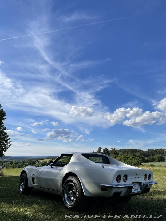 Chevrolet Corvette C3 Stingray Targa 1978