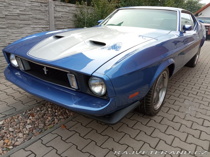 Ford Mustang Fastback 1971