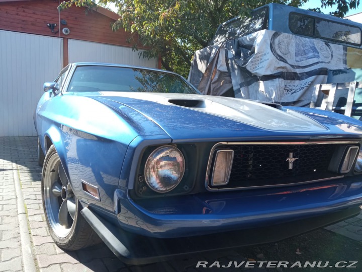 Ford Mustang Fastback 1971