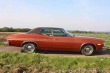 Ford Torino