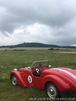 Citroën 2CV Burton