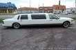 Lincoln Town Car Limuzína 7.m Pronájem