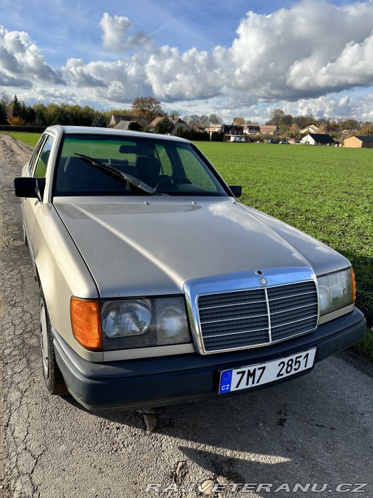 Mercedes-Benz 300 W124 1989