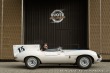 Jaguar D-Type Replica