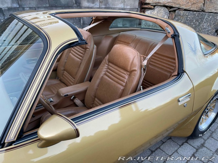 Pontiac Trans Am 1978