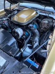 Pontiac Trans Am 1978