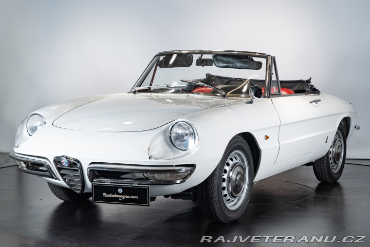 Alfa Romeo Spider DUETTO OSSO DI SEPPIA 1966