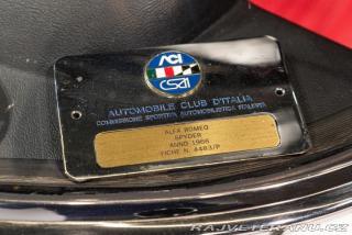 Alfa Romeo Spider DUETTO OSSO DI SEPPIA 1966