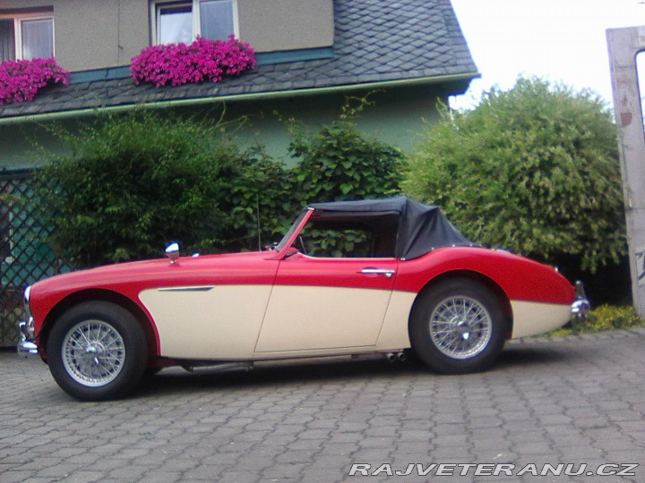 Austin Healey 100/6 1957