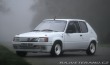 Peugeot 205 Rallye 1.3 Group A/N 1988