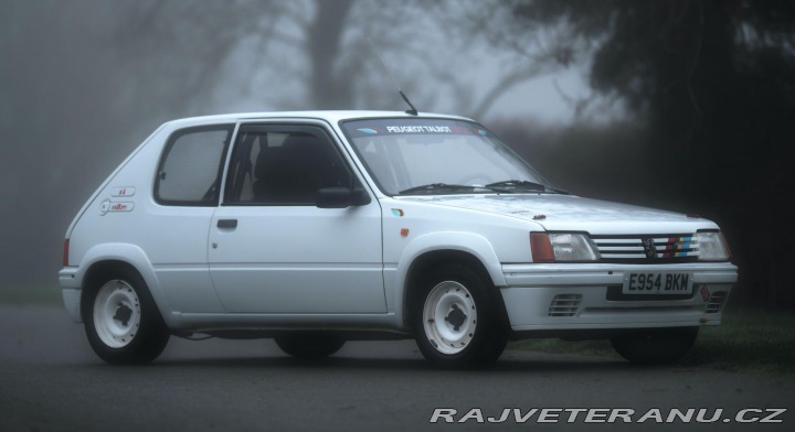 Peugeot 205 Rallye 1.3 Group A/N 1988