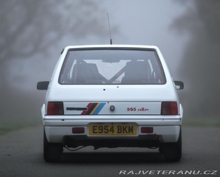 Peugeot 205 Rallye 1.3 Group A/N (1) 1988