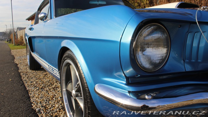 Ford Mustang MUSTANG GT350 351/5SPEED 1965