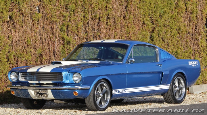 Ford Mustang MUSTANG GT350 351/5SPEED 1965