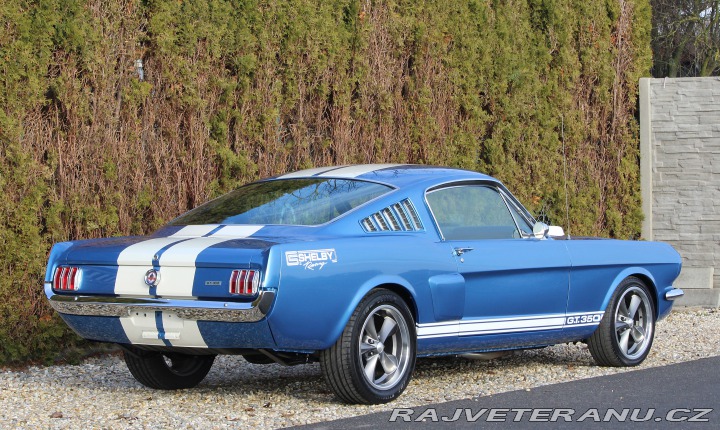 Ford Mustang MUSTANG GT350 351/5SPEED 1965