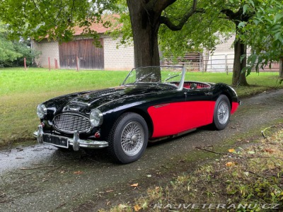 Austin Healey 3000 MK II / BN7 /