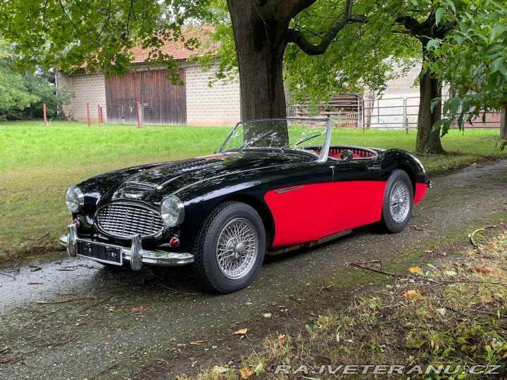 Austin Healey 3000 MK II / BN7 / 1962