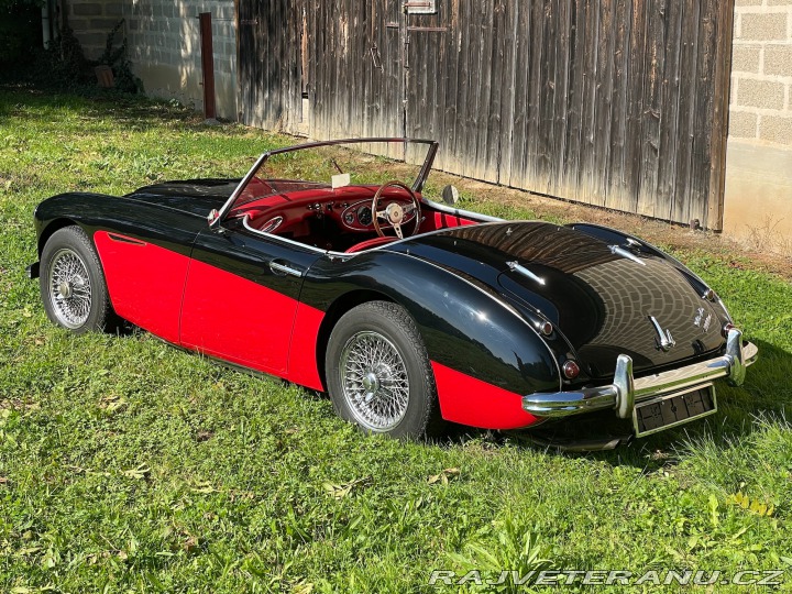 Austin Healey 3000 MK II / BN7 / 1962