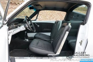 Ford Mustang 289 Fastback SLEVA! 1965