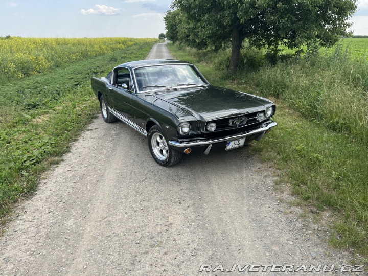 Ford Mustang Fastback GT 1965