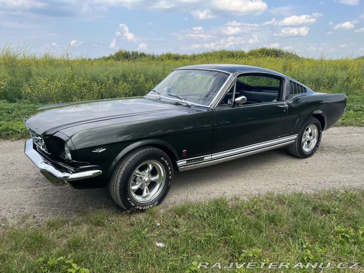 Ford Mustang Fastback GT 1965