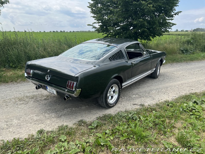 Ford Mustang Fastback GT 1965