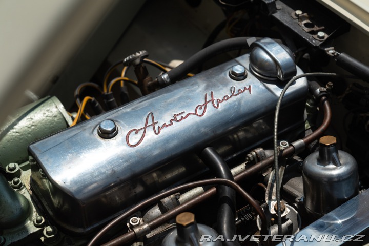 Austin Healey 100/4 1956