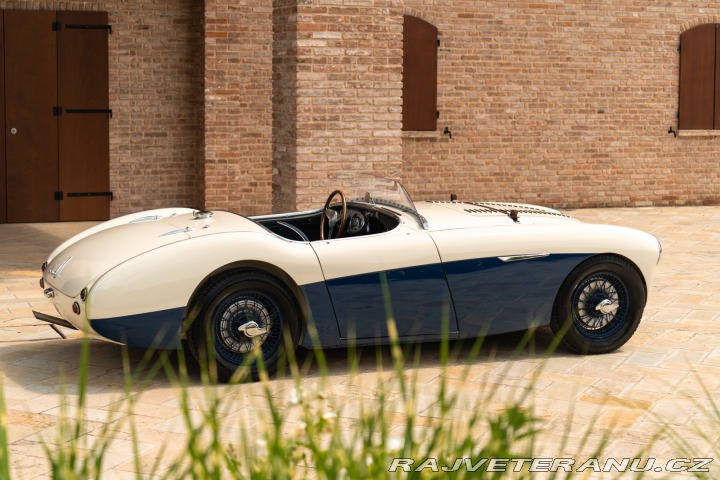 Austin Healey 100/4 1956