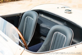Austin Healey 100/4 1956