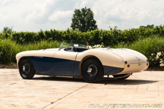 Austin Healey 100/4 1956