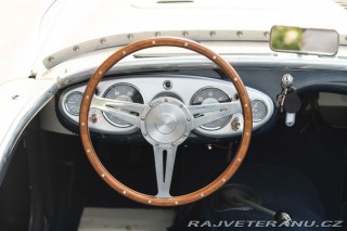 Austin Healey 100/4 1956