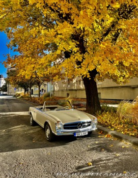 Mercedes-Benz SL W113 Sl 230