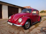 Volkswagen Brouk 11