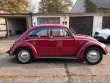 Volkswagen Brouk 11 1964