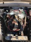 ARO M461 M461