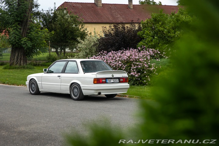 BMW 3 318is M-technic