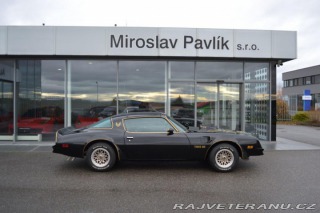 Pontiac Trans Am Y82 BLACK BANDIT 1978
