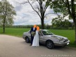 Alfa Romeo 164 2.0 Twin Spark Super
