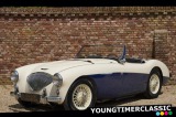 Austin Healey 100-M