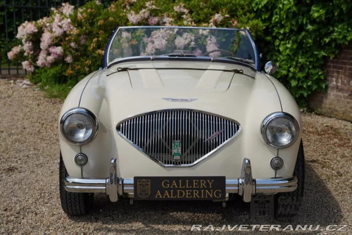 Austin Healey 100-M 1954