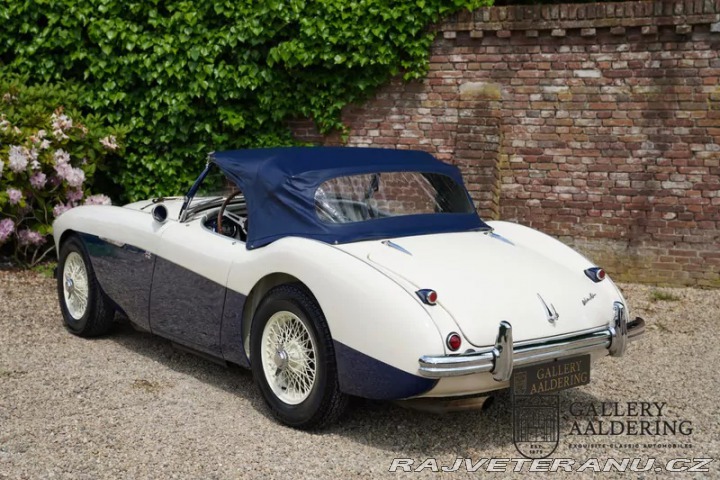 Austin Healey 100-M 1954