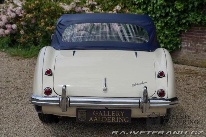 Austin Healey 100-M 1954