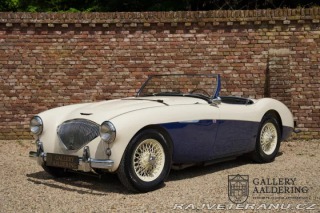 Austin Healey 100-M 1954