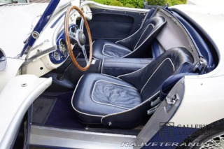Austin Healey 100-M 1954